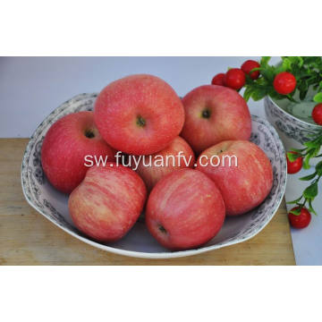 Export New Quality Mazao Bora Competitive Qinguan apple